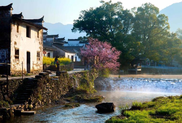 婺源最美的旅游季节_春季婺源景点_婺源夏季旅游