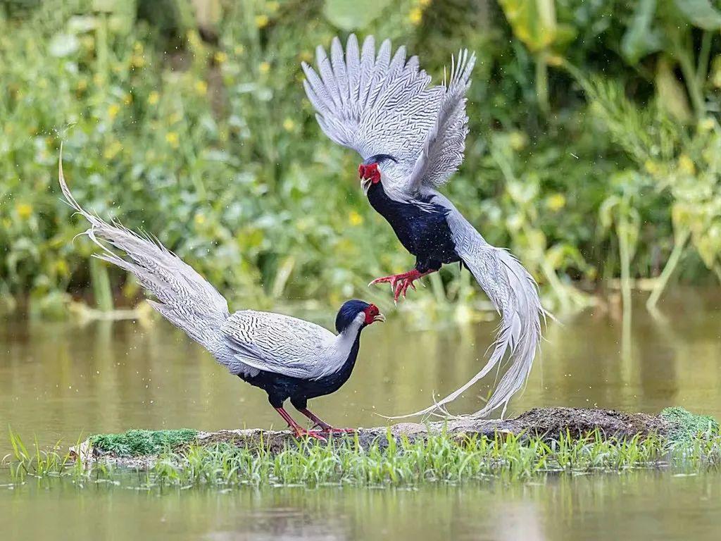 旅游人物摄影_旅游人物特色照_景点人物照