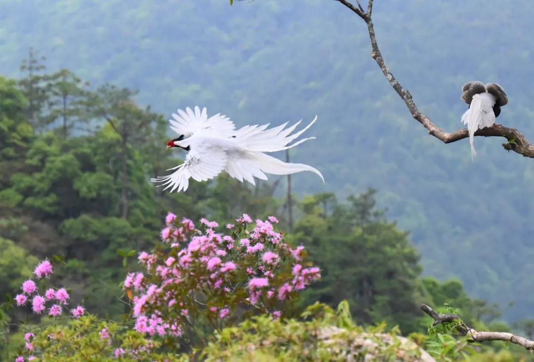 旅游景点人物拍照_旅游人物摄影_旅游人物特色照