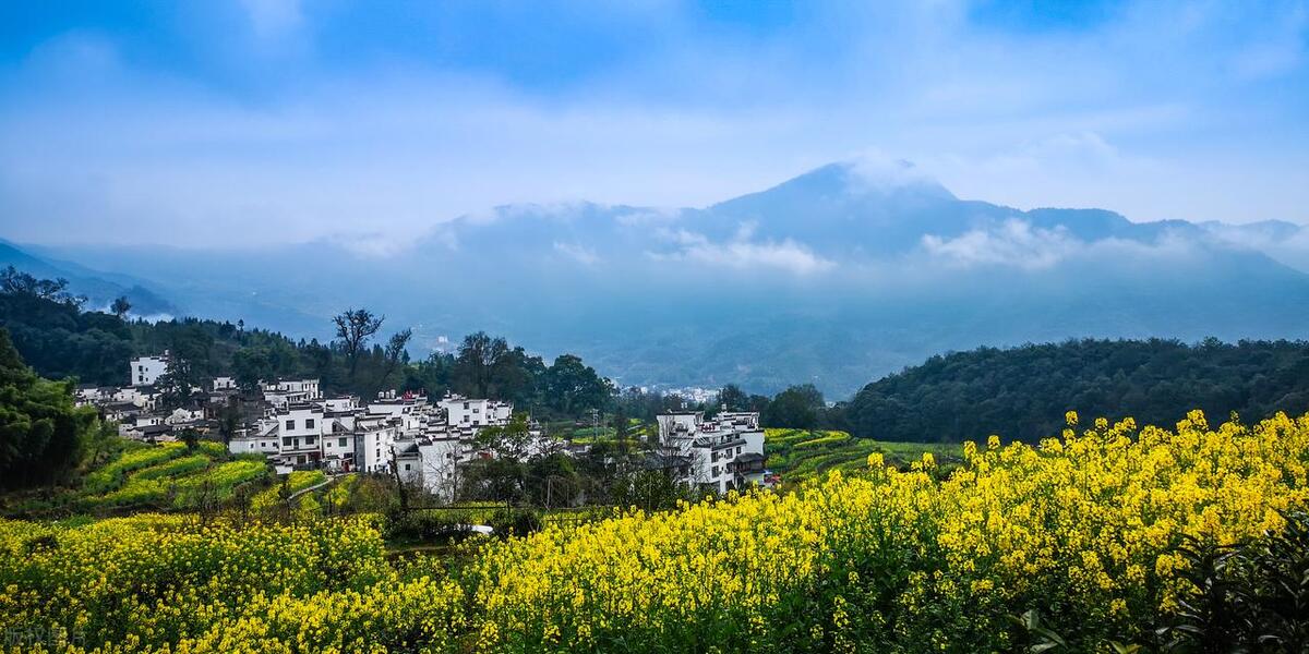 婺源最佳旅游季节_春季婺源景点_婺源最美的旅游季节