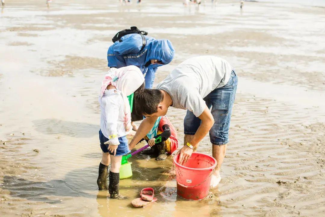 家庭旅游可赶海吗现在_旅游家庭赶海现在可以吗_旅游赶海