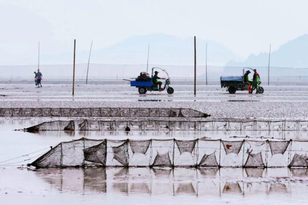 家庭旅游可赶海吗现在_旅游家庭赶海现在可以吗_旅游赶海