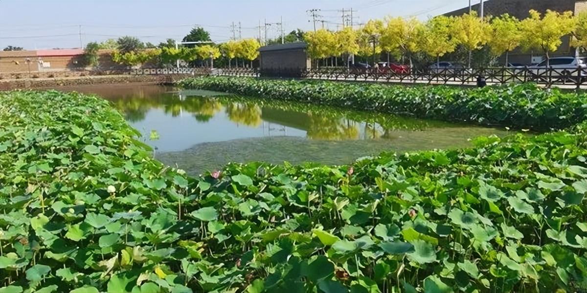 天津基地_天津基地装备旅游产业市场情况_天津市旅游装备产业基地