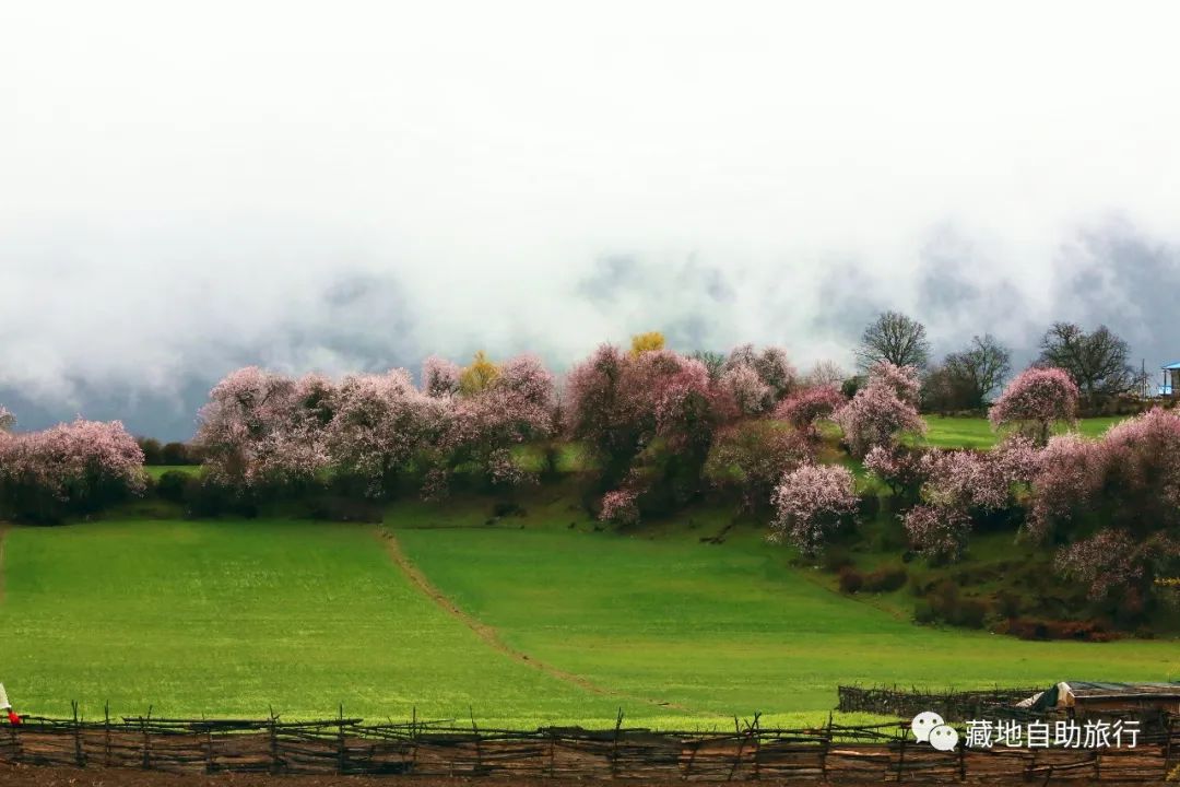 旅游旺季做什么挣钱_季节赚钱旅游项目有那些_旅游季节有什么赚钱项目