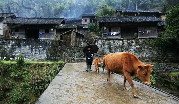 西双版纳旅游路线图_汨罗至西双版纳旅游线路_游西双版纳攻略