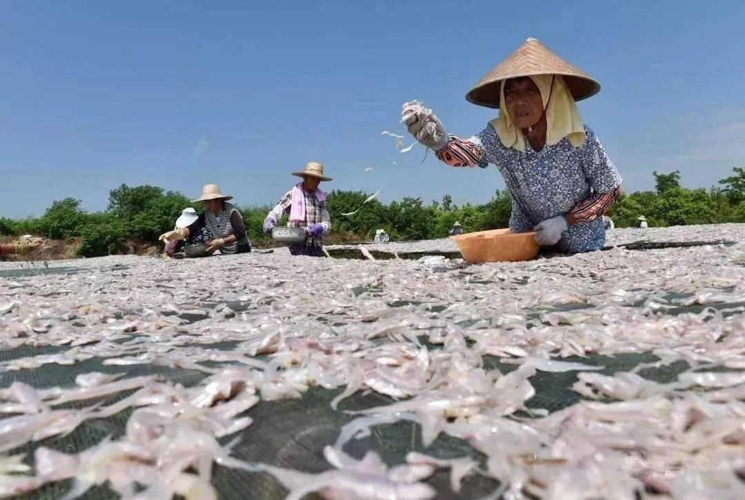 九江旅游季节特点_九江季节旅游特点介绍_九江季节旅游特点是什么