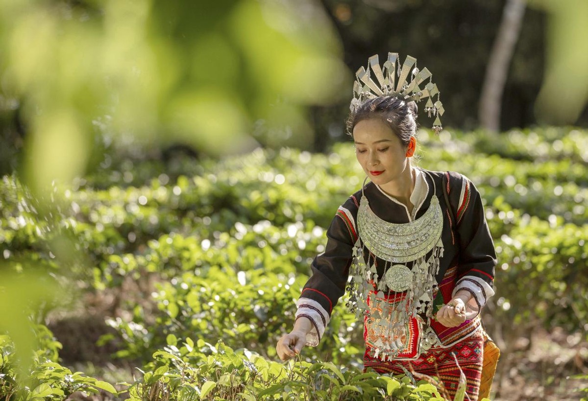 旅游装备业的发展趋势_新的旅游装备_旅游装备制造业是什么