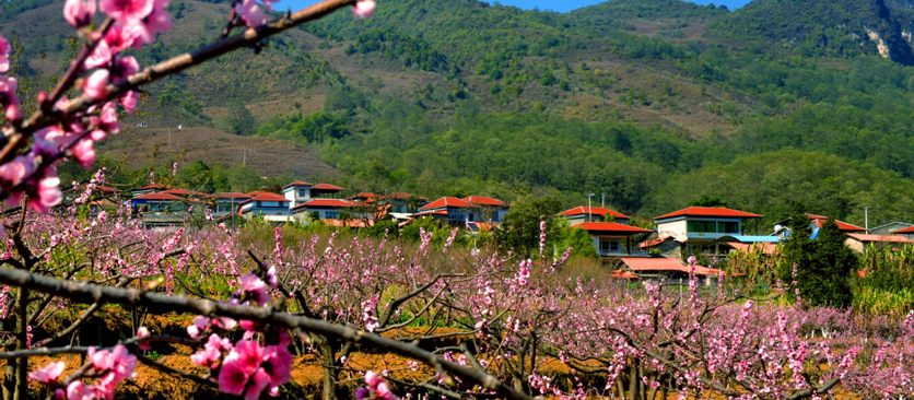 金山线票价_金山银山风景道_金山银山旅游线路图