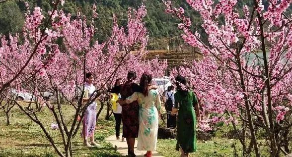 金山银山风景道_金山线票价_金山银山旅游线路图