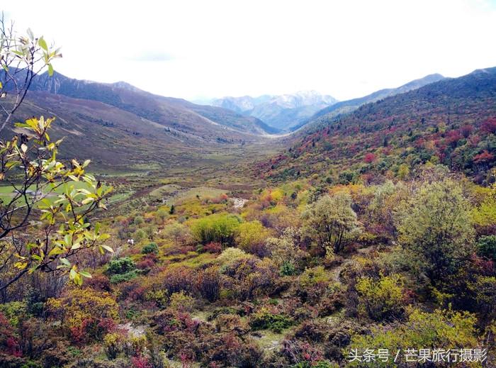 稻城亚丁旅游推荐_亚丁稻城主要景点_旅游推荐亚丁稻城的理由