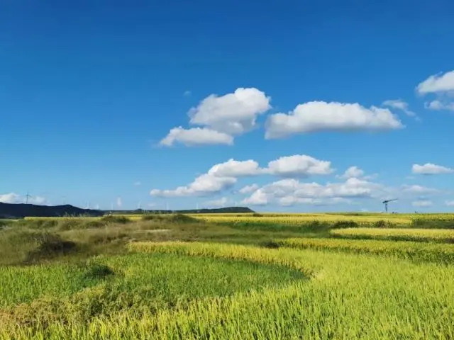 国庆贵州旅游景点_贵州自由行国庆旅游_国庆节贵州旅游