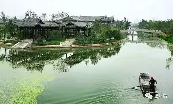 温州特色旅游景点图片_温州特色旅游景点排名前十_温州 特色旅游