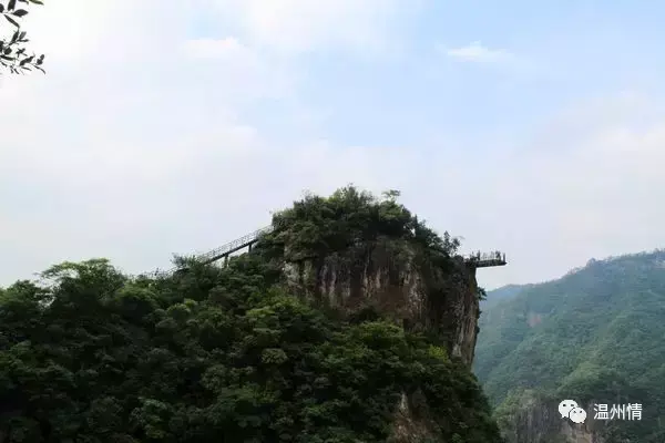 温州 特色旅游_温州特色旅游景点图片_温州特色旅游景点排名前十