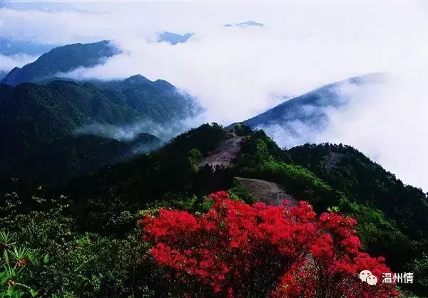 温州特色旅游景点排名前十_温州 特色旅游_温州特色旅游景点图片