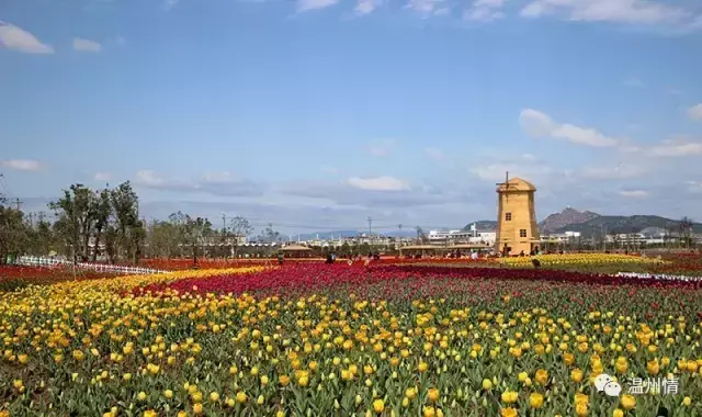 温州 特色旅游_温州特色旅游景点图片_温州特色旅游景点排名前十