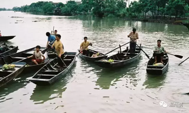 温州特色旅游景点排名前十_温州 特色旅游_温州特色旅游景点图片