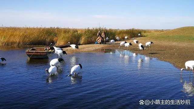 密山游玩_密山有啥旅游景点_景点旅游密山有哪些地方