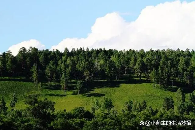 密山游玩_密山有啥旅游景点_景点旅游密山有哪些地方