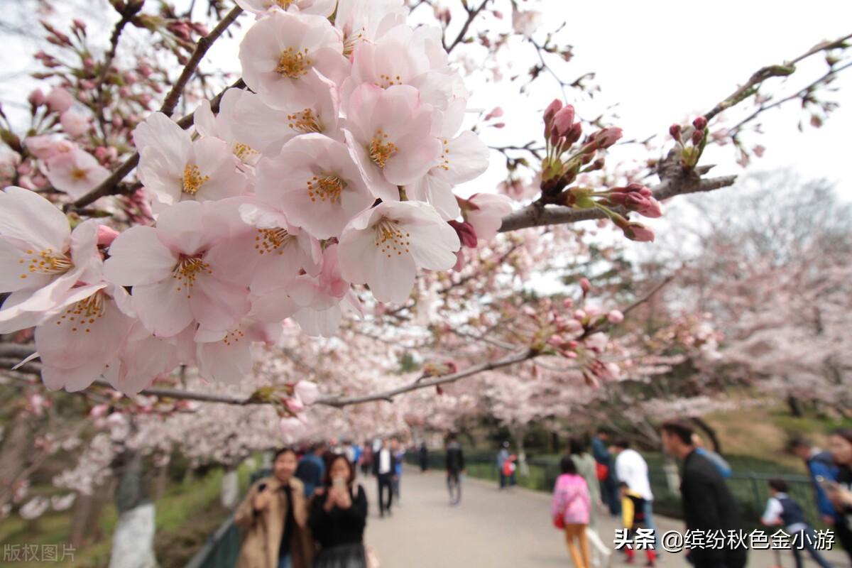 自由行青岛旅游景点_青岛自由行旅游攻略_青岛自由行景点大全