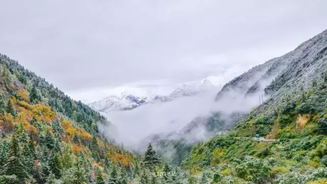 川西自驾游最佳季节是几月_川西适合旅游的季节_川西线旅游适合的季节