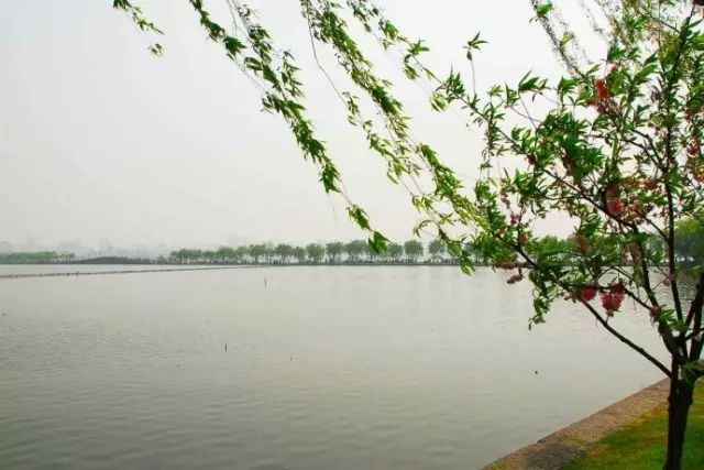 西湖旅游什么季节最好_最适合去西湖的季节_西湖季节旅游好玩吗