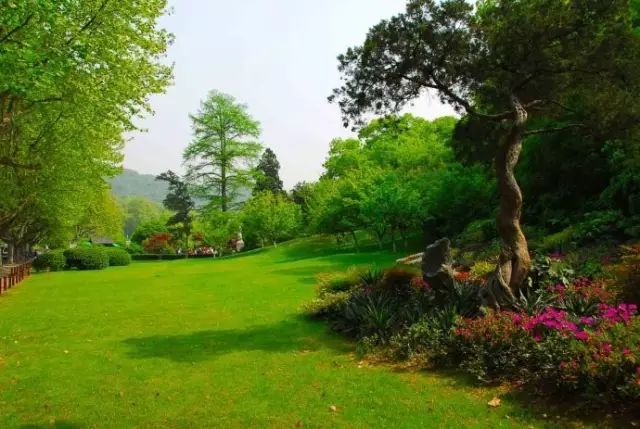 西湖季节旅游好玩吗_西湖旅游什么季节最好_最适合去西湖的季节