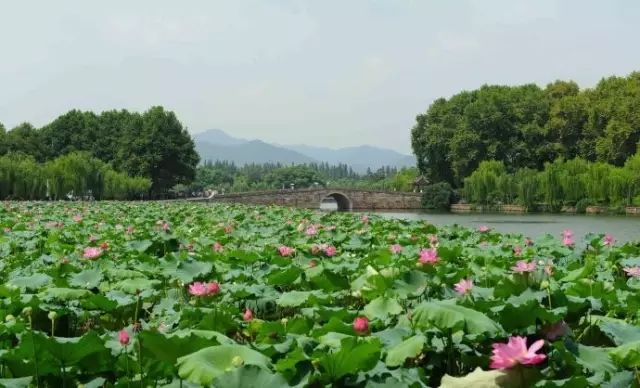 西湖旅游什么季节最好_西湖季节旅游好玩吗_最适合去西湖的季节