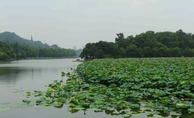 最适合去西湖的季节_西湖季节旅游好玩吗_西湖旅游什么季节最好