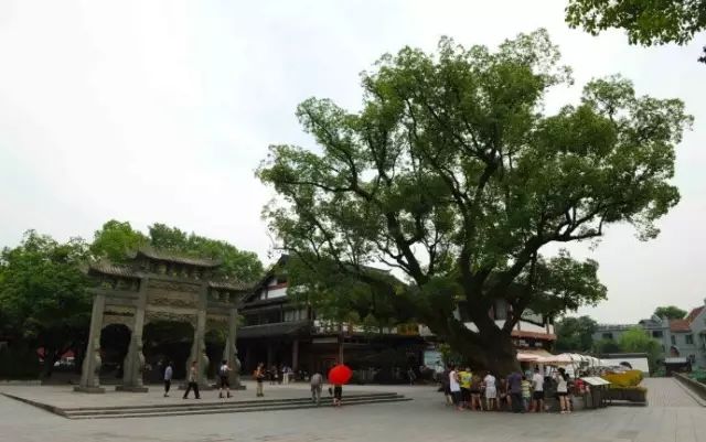 最适合去西湖的季节_西湖旅游什么季节最好_西湖季节旅游好玩吗