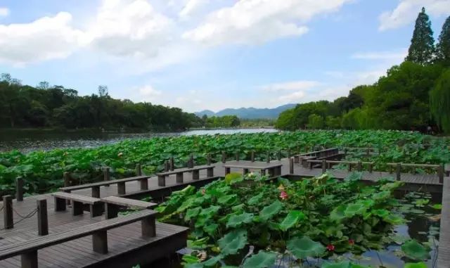 最适合去西湖的季节_西湖旅游什么季节最好_西湖季节旅游好玩吗