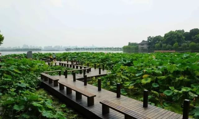 最适合去西湖的季节_西湖季节旅游好玩吗_西湖旅游什么季节最好