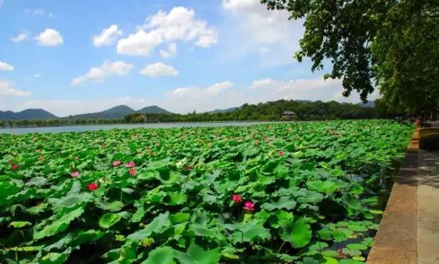 西湖旅游什么季节最好_西湖季节旅游好玩吗_最适合去西湖的季节