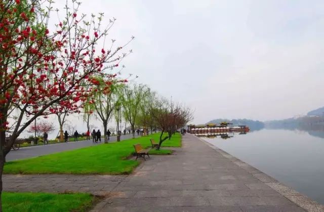 西湖季节旅游好玩吗_最适合去西湖的季节_西湖旅游什么季节最好