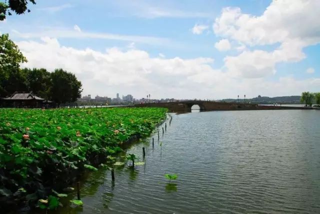 西湖季节旅游好玩吗_西湖旅游什么季节最好_最适合去西湖的季节