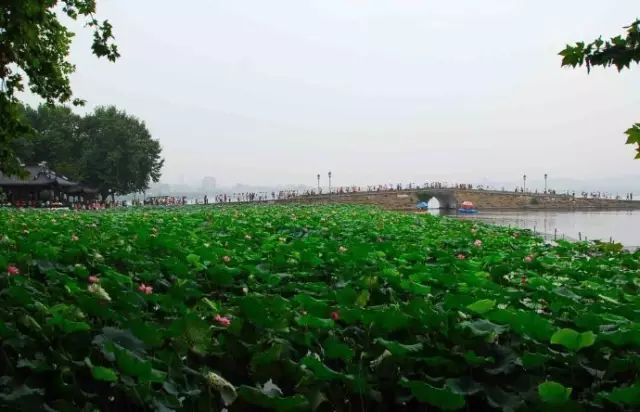 西湖季节旅游好玩吗_最适合去西湖的季节_西湖旅游什么季节最好