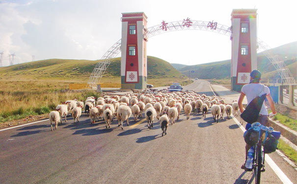 青海湖骑行-重庆中国青年旅行社