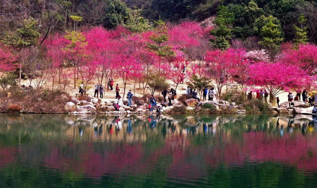 福州夏季旅游攻略_福州旅游哪个季节去好玩_福州最佳旅游时间