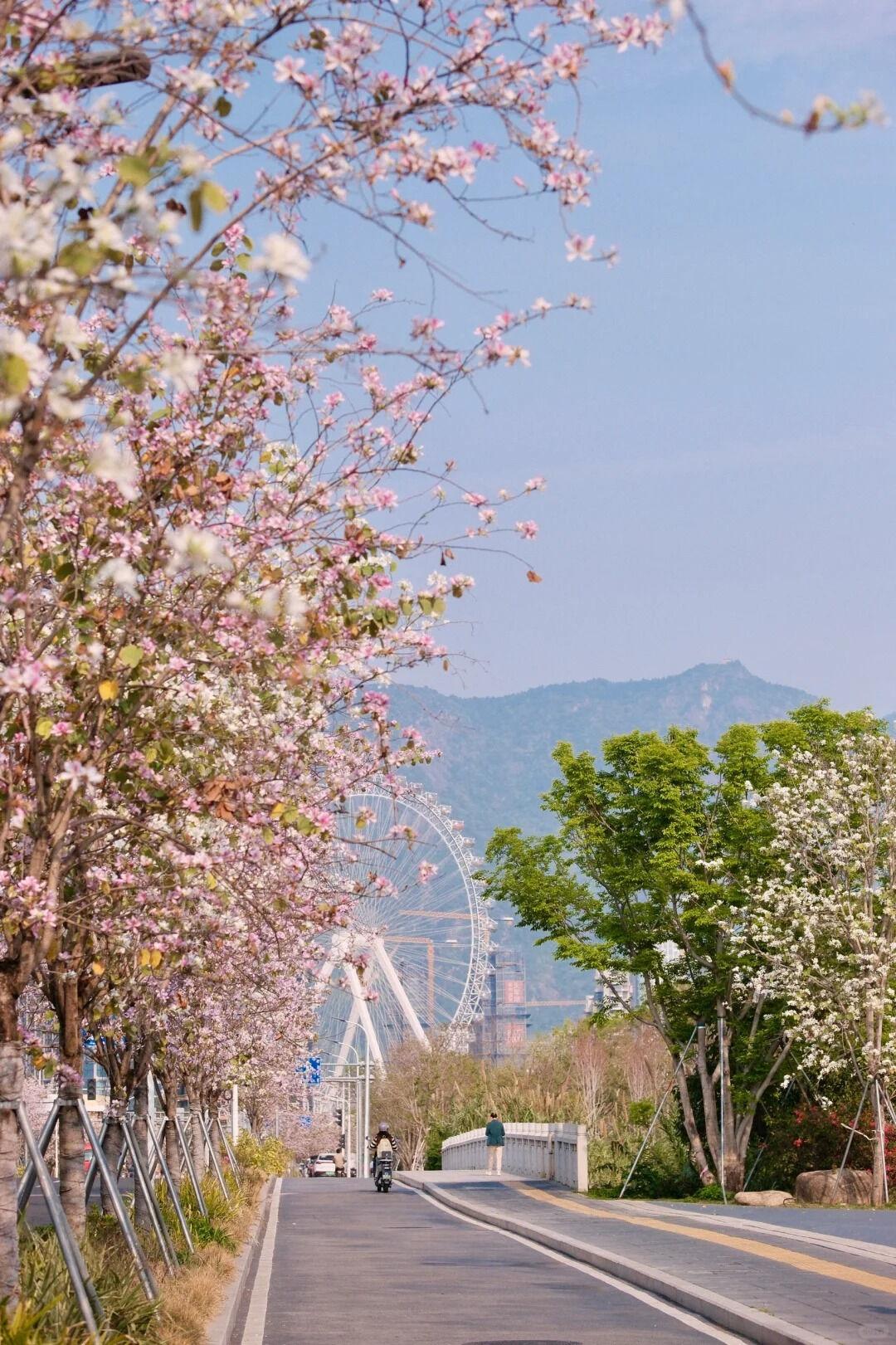 福州旅游哪个季节去好玩_福州最佳旅游时间_福州夏季旅游攻略