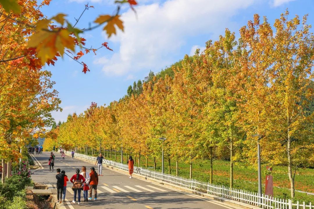 国庆小众旅游线路_国庆小众线路旅游图片_国庆节小众旅游线路