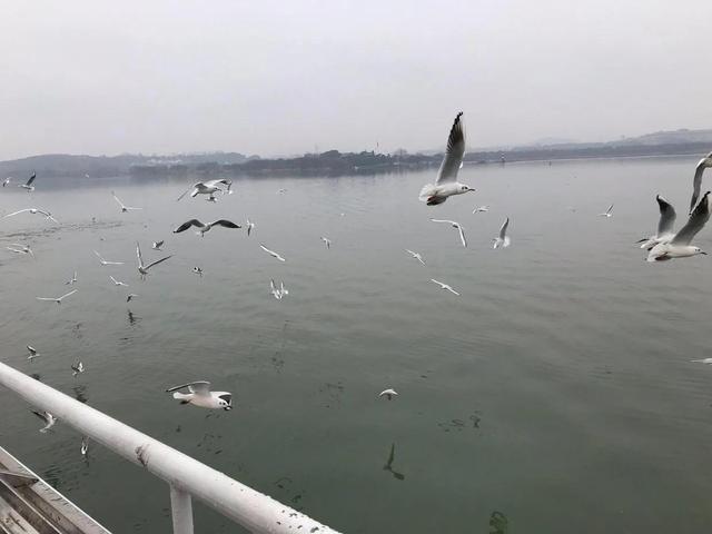 太湖特色旅游开发现状_太湖旅游开发特色_太湖特色旅游开发有限公司