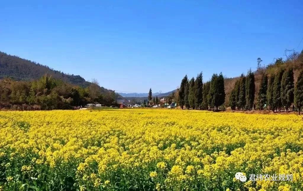 公司集体旅游策划方案_公司集体旅游制度_公司集体旅游叫什么名字