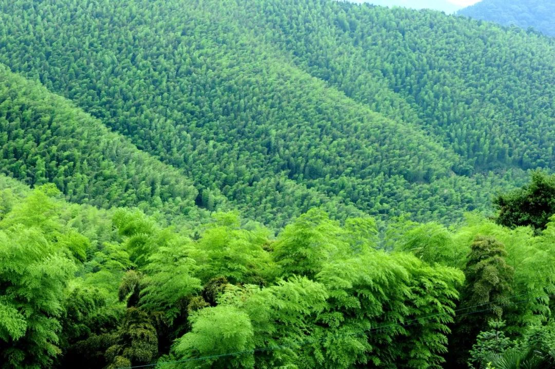 湖北旅游线路规划_旅游湖北线路怎么走_湖北旅游线路旅游