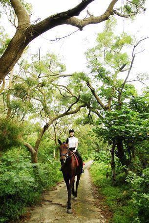 惠州风景区旅游景点_惠州景点大全_惠州景区景点大全