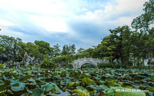 惠州景区景点大全_惠州景点分布图_惠州风景区旅游景点