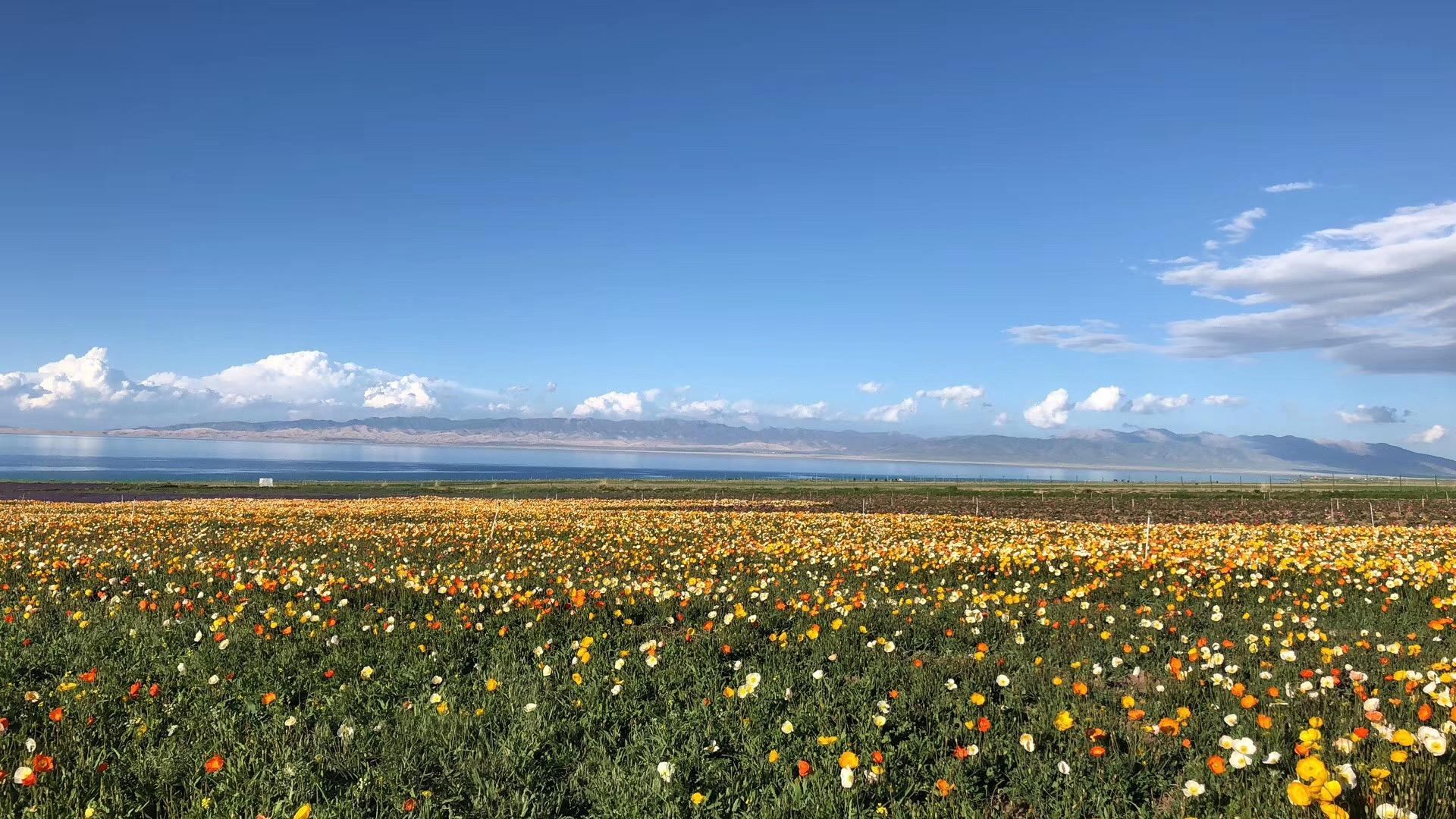 西藏季节旅游好去哪里_西藏季节旅游好去吗_如何去西藏旅游最好的季节