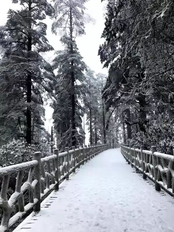 瓦屋山风景视频_瓦屋山最佳旅游季节_瓦屋山介绍视频