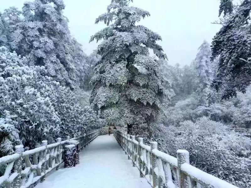 瓦屋山介绍视频_瓦屋山风景视频_瓦屋山最佳旅游季节