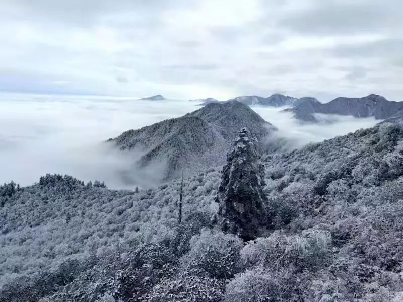 瓦屋山介绍视频_瓦屋山最佳旅游季节_瓦屋山风景视频