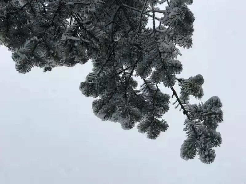 瓦屋山风景视频_瓦屋山介绍视频_瓦屋山最佳旅游季节