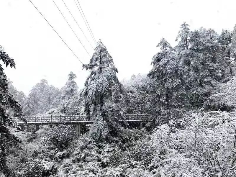 瓦屋山介绍视频_瓦屋山风景视频_瓦屋山最佳旅游季节